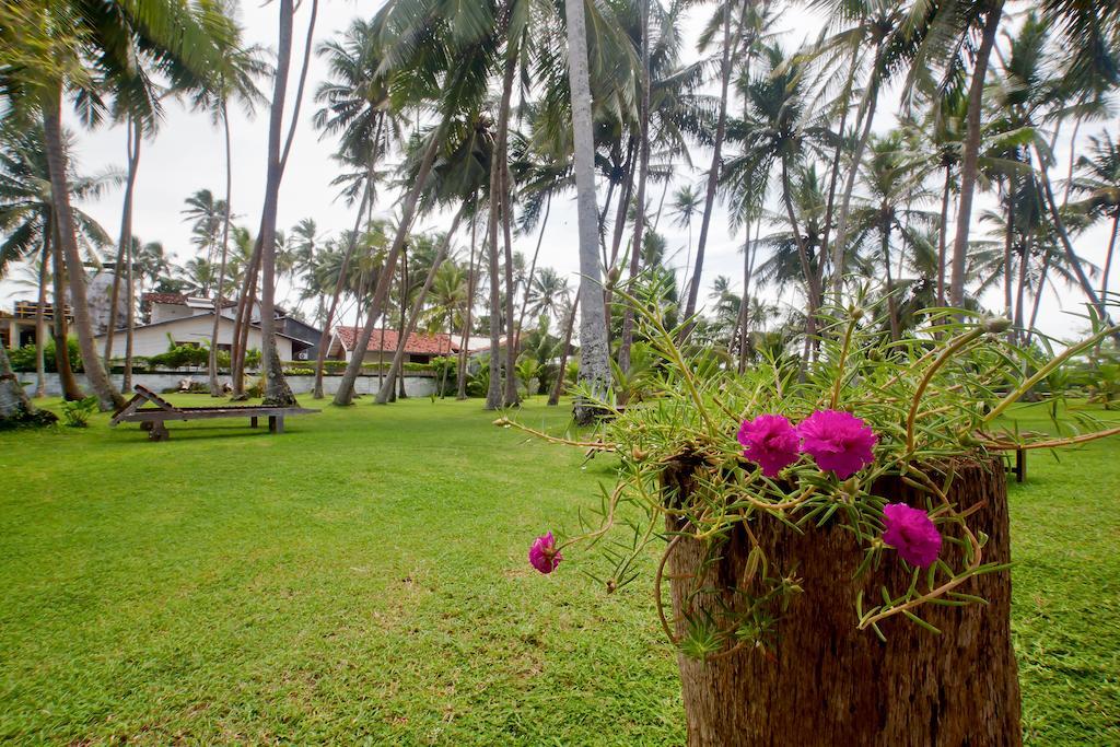 Chitra Ayurveda Hotel Бентота Екстериор снимка
